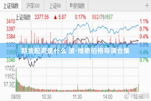 期货配资是什么 波·维德伯格导演合集