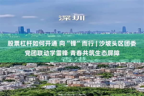 股票杠杆如何开通 向“锋”而行 | 沙坡头区团委党团联动学雷锋 青春共筑生态屏障