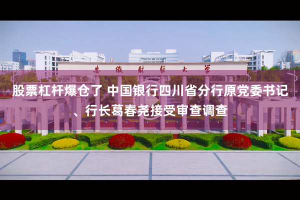 股票杠杆爆仓了 中国银行四川省分行原党委书记、行长葛春尧接受审查调查