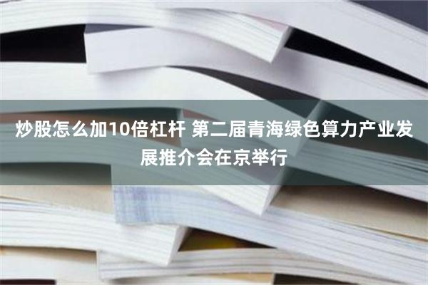 炒股怎么加10倍杠杆 第二届青海绿色算力产业发展推介会在京举行