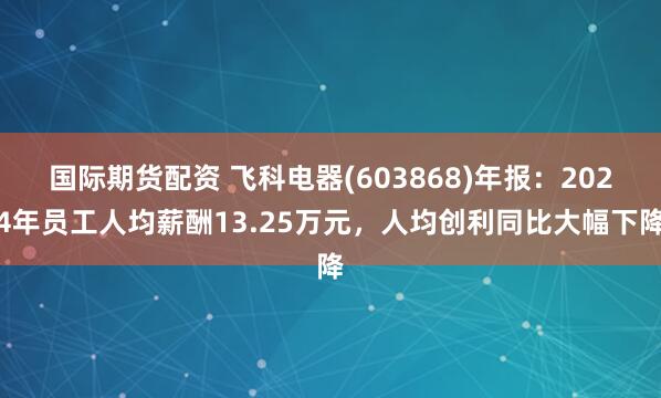 国际期货配资 飞科电器(603868)年报：2024年员工人均薪酬13.25万元，人均创利同比大幅下降