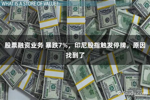 股票融资业务 暴跌7%，印尼股指触发停牌，原因找到了