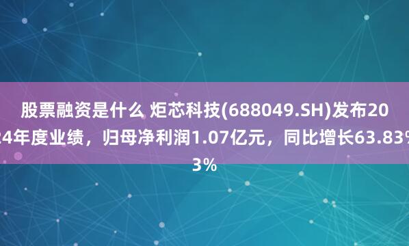 股票融资是什么 炬芯科技(688049.SH)发布2024年度业绩，归母净利润1.07亿元，同比增长63.83%