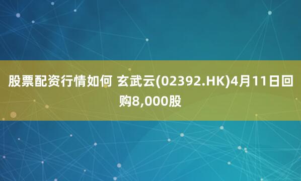 股票配资行情如何 玄武云(02392.HK)4月11日回购8,000股