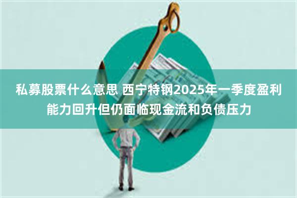 私募股票什么意思 西宁特钢2025年一季度盈利能力回升但仍面临现金流和负债压力