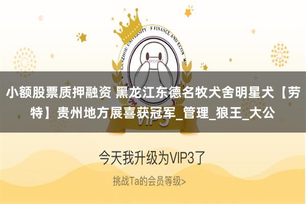 小额股票质押融资 黑龙江东德名牧犬舍明星犬【劳特】贵州地方展喜获冠军_管理_狼王_大公