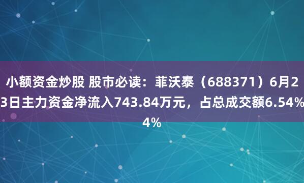 小额资金炒股 股市必读：菲沃泰（688371）6月23日主力资金净流入743.84万元，占总成交额6.54%