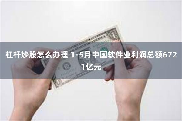 杠杆炒股怎么办理 1-5月中国软件业利润总额6721亿元