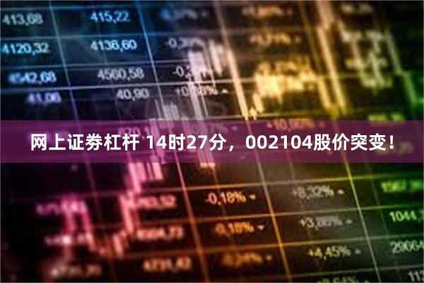 网上证劵杠杆 14时27分，002104股价突变！