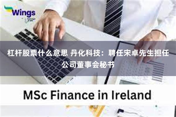 杠杆股票什么意思 丹化科技：聘任宋卓先生担任公司董事会秘书