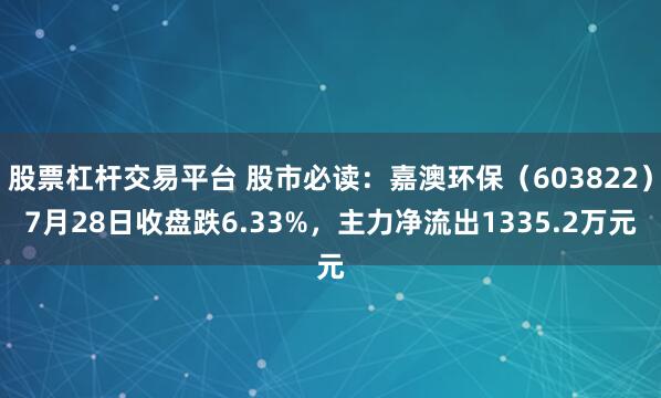 股票杠杆交易平台 股市必读：嘉澳环保（603822）7月28日收盘跌6.33%，主力净流出1335.2万元