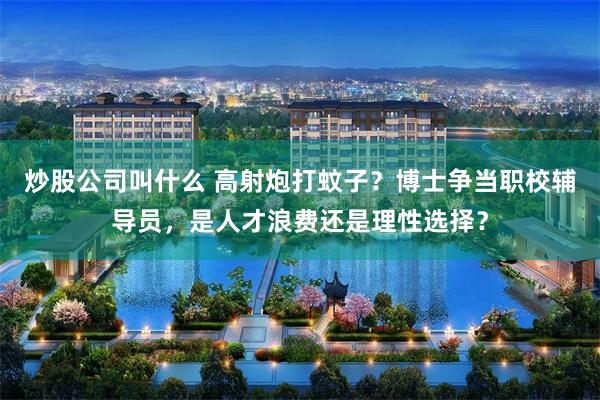 炒股公司叫什么 高射炮打蚊子?博士争当职校辅导员,是人才浪费还是理性选择?