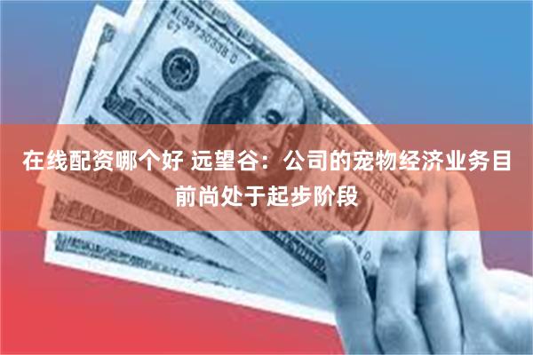 在线配资哪个好 远望谷:公司的宠物经济业务目前尚处于起步阶段